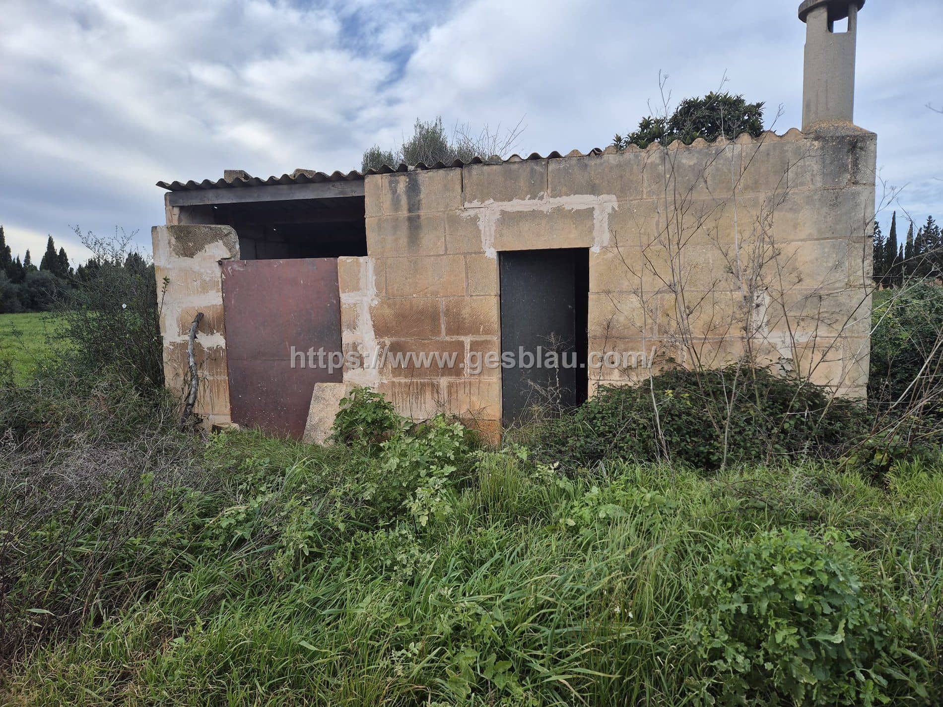 Terreno - Llubi - Foto 1