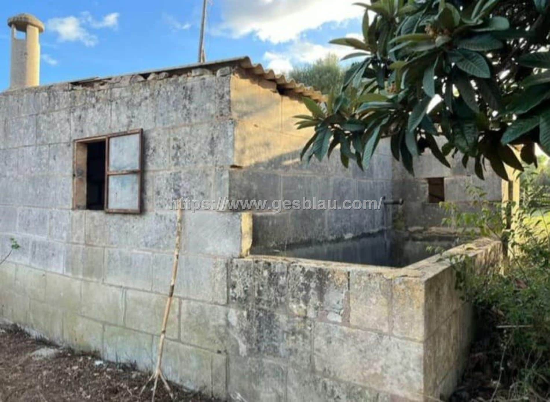 Terreno en venta en Llubi - Foto 5