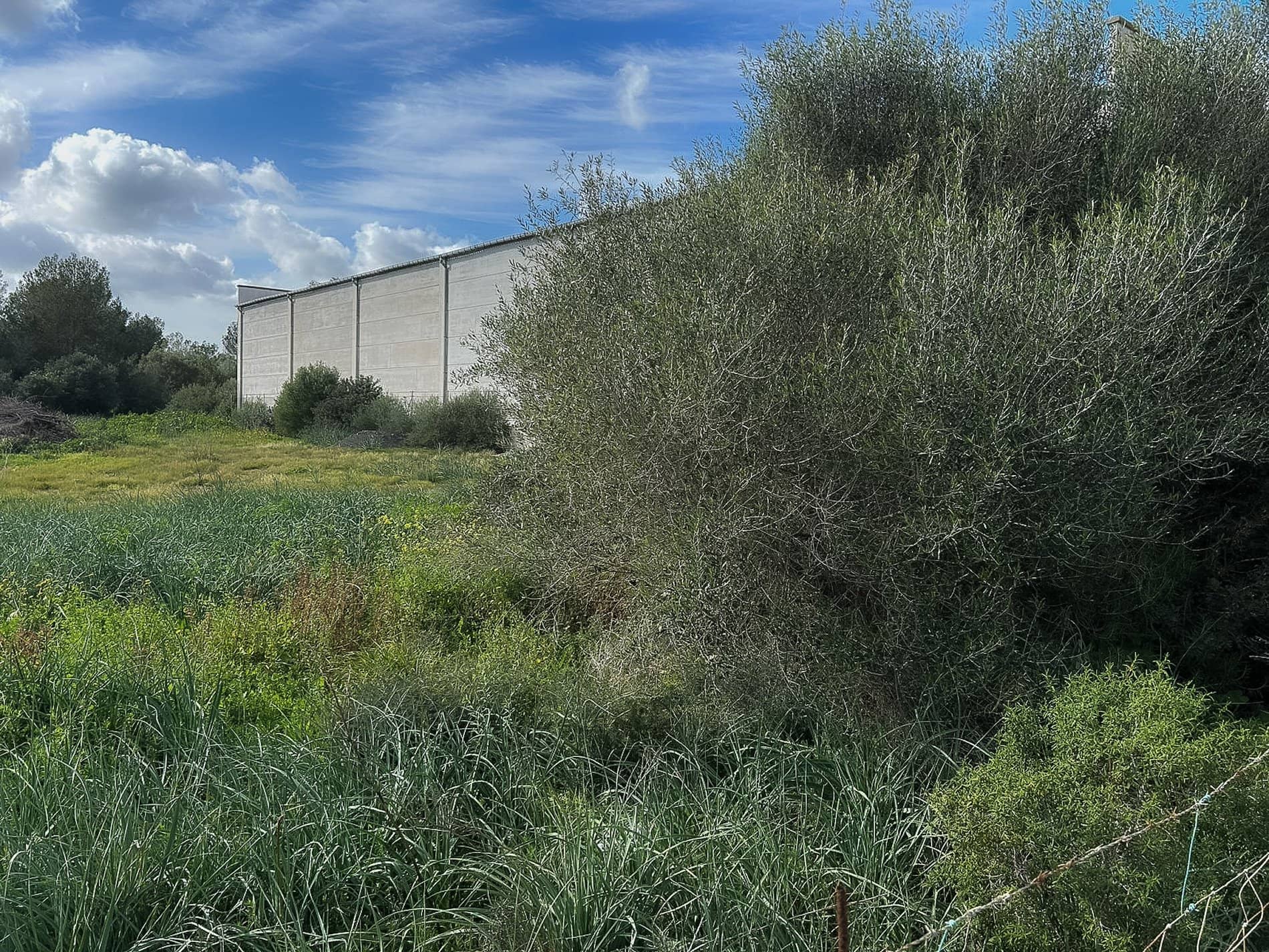 Solar - Can Picafort, Santa Margalida - Foto 1