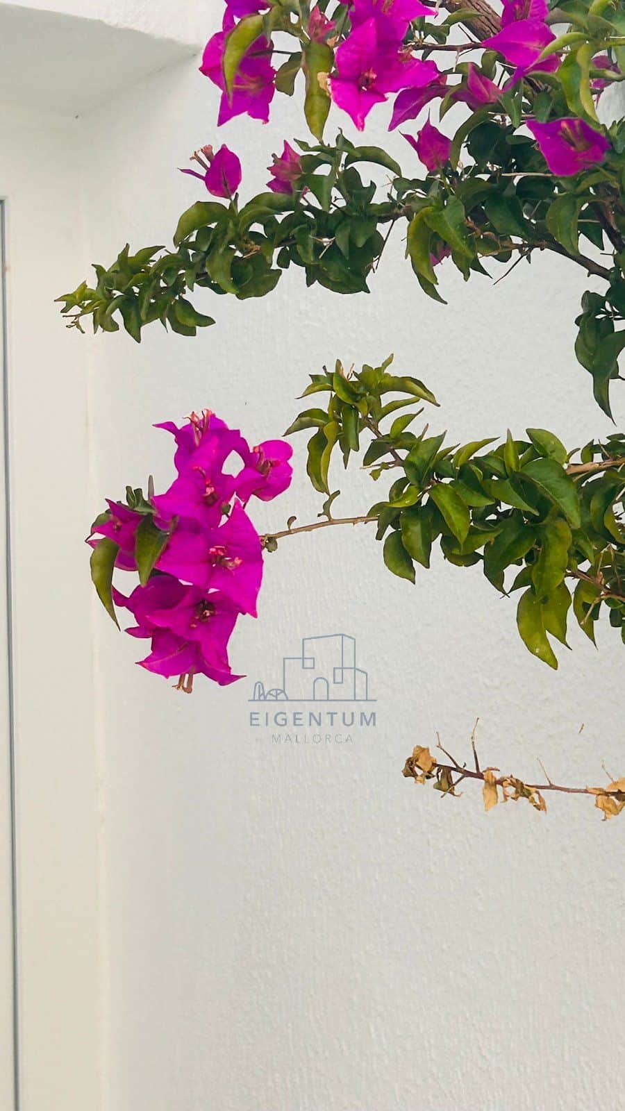 Bungalow en alquiler en Manacor - Foto 5