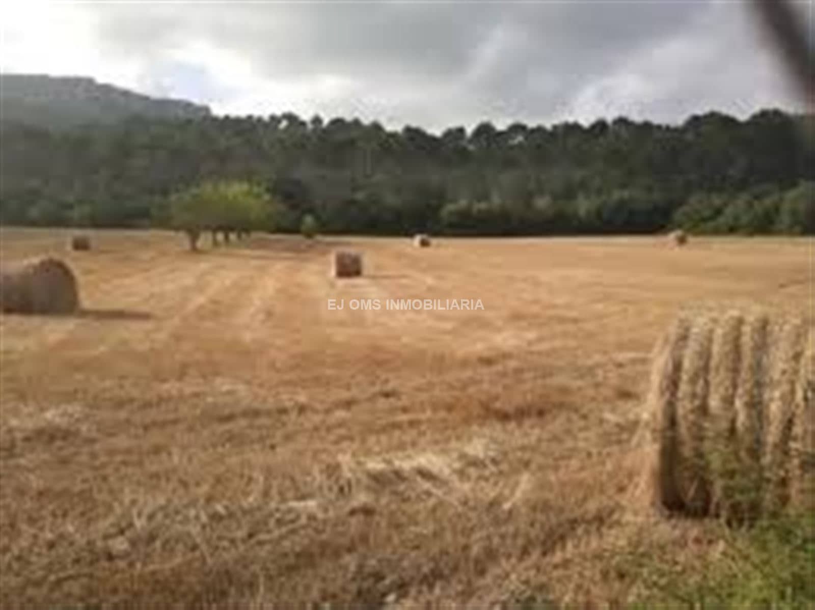 Terreno - Algaida - Foto 1