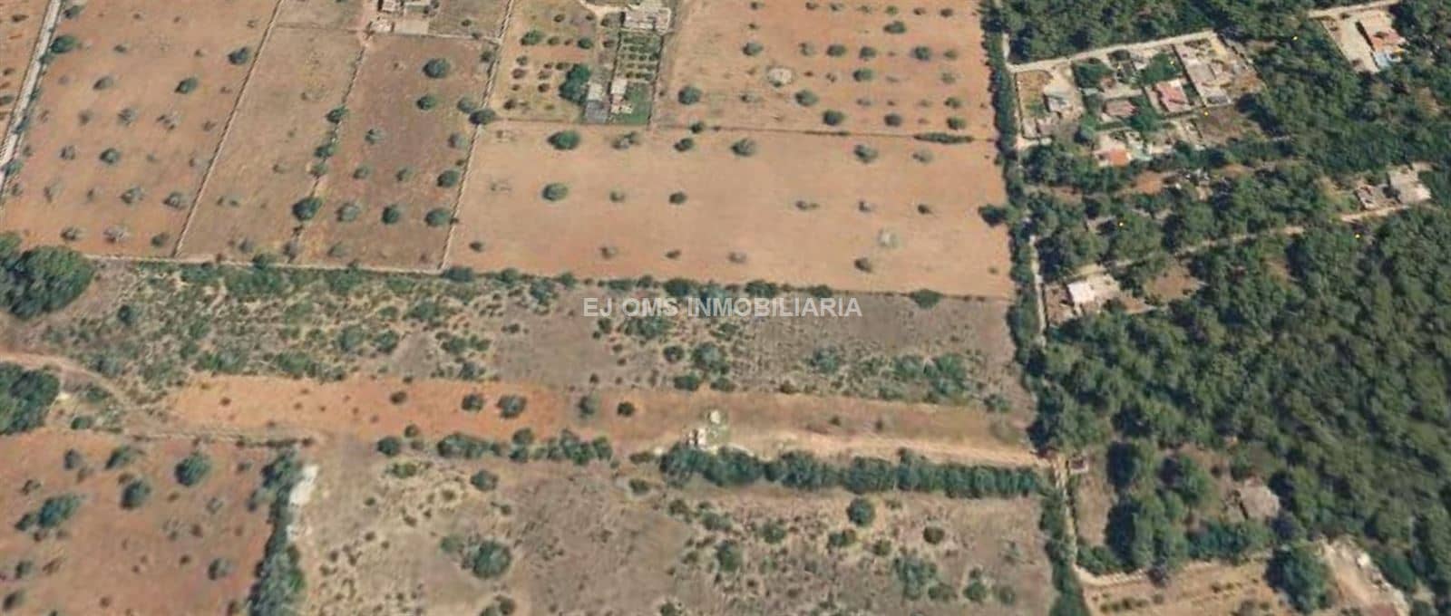 Terreno - Algaida - Foto 1