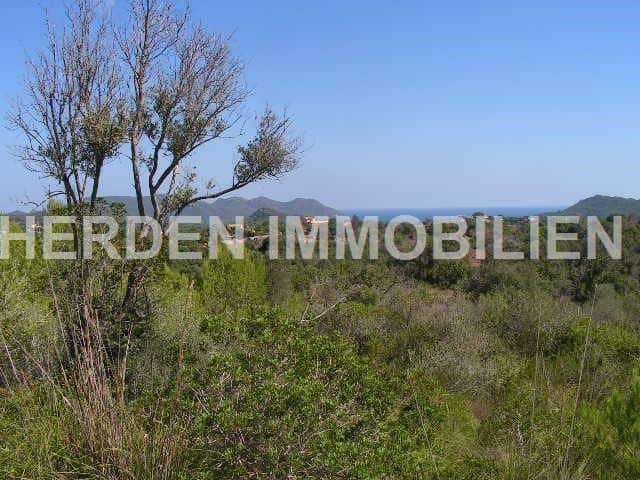 TERRENO SOLAR PARCELA EN SON SERVERA EN VENTA - Foto 5