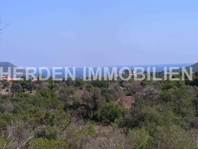 TERRENO SOLAR PARCELA EN SON SERVERA EN VENTA - Foto 3