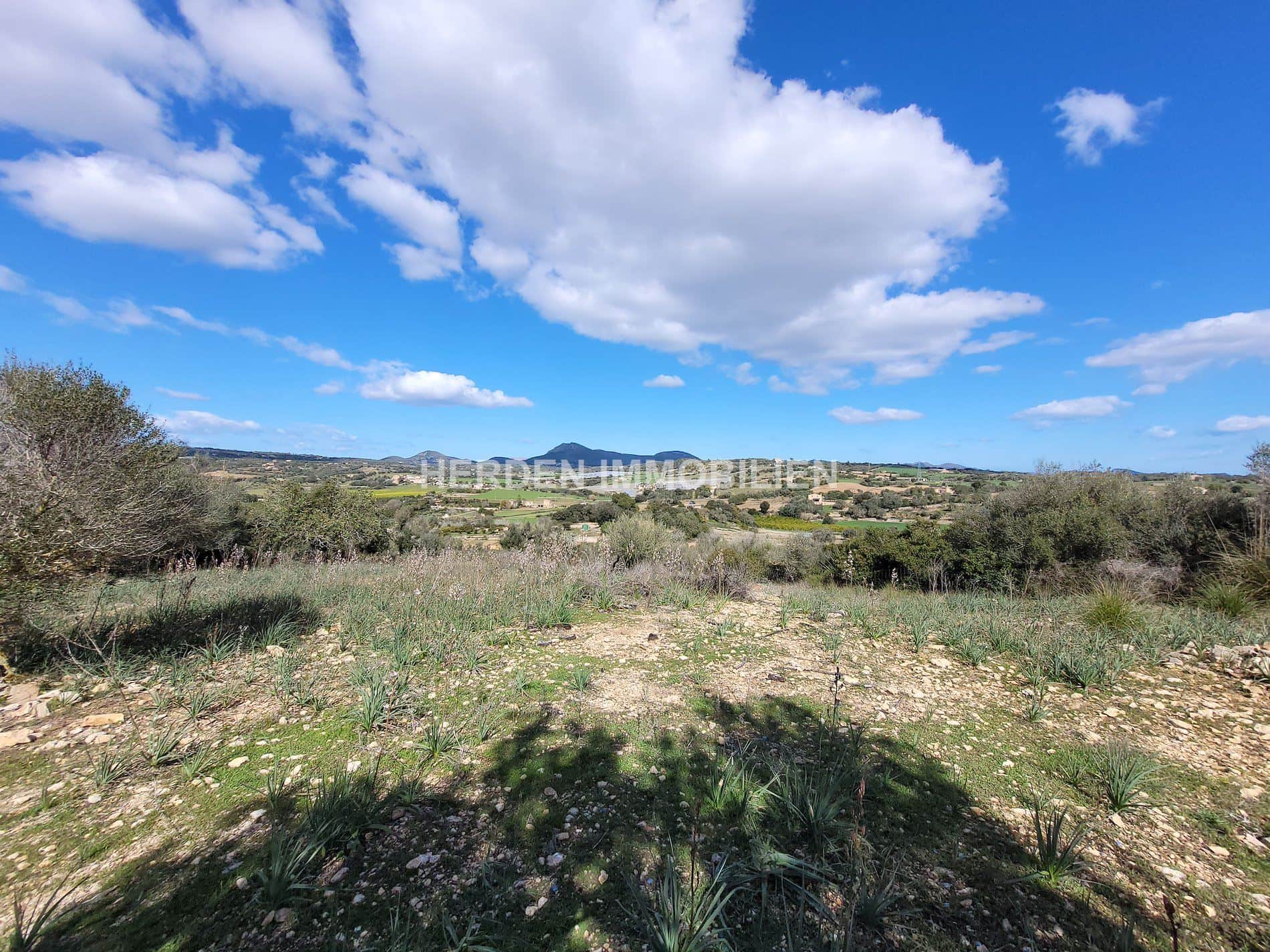 TERRENO EDIFICABLE EN VENTA EN MANACOR MALLORCA - Foto 5