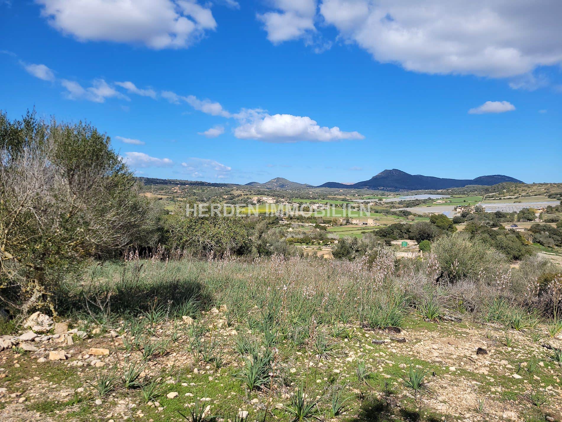TERRENO EDIFICABLE EN VENTA EN MANACOR MALLORCA - Foto 4