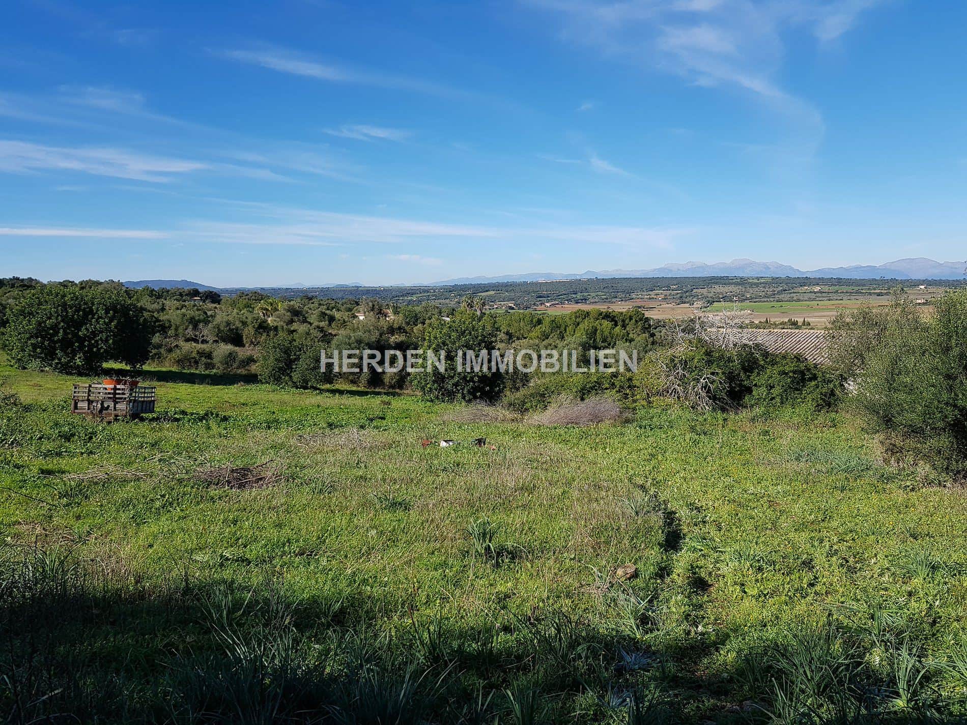 TERRENO EDIFICABLE EN VENTA EN MANACOR MALLORCA - Foto 2