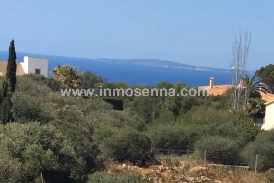 SOLAR EDIFICABLE EN LA ZONA DE SA TORRE (LLUCHMAJOR) - Foto 4