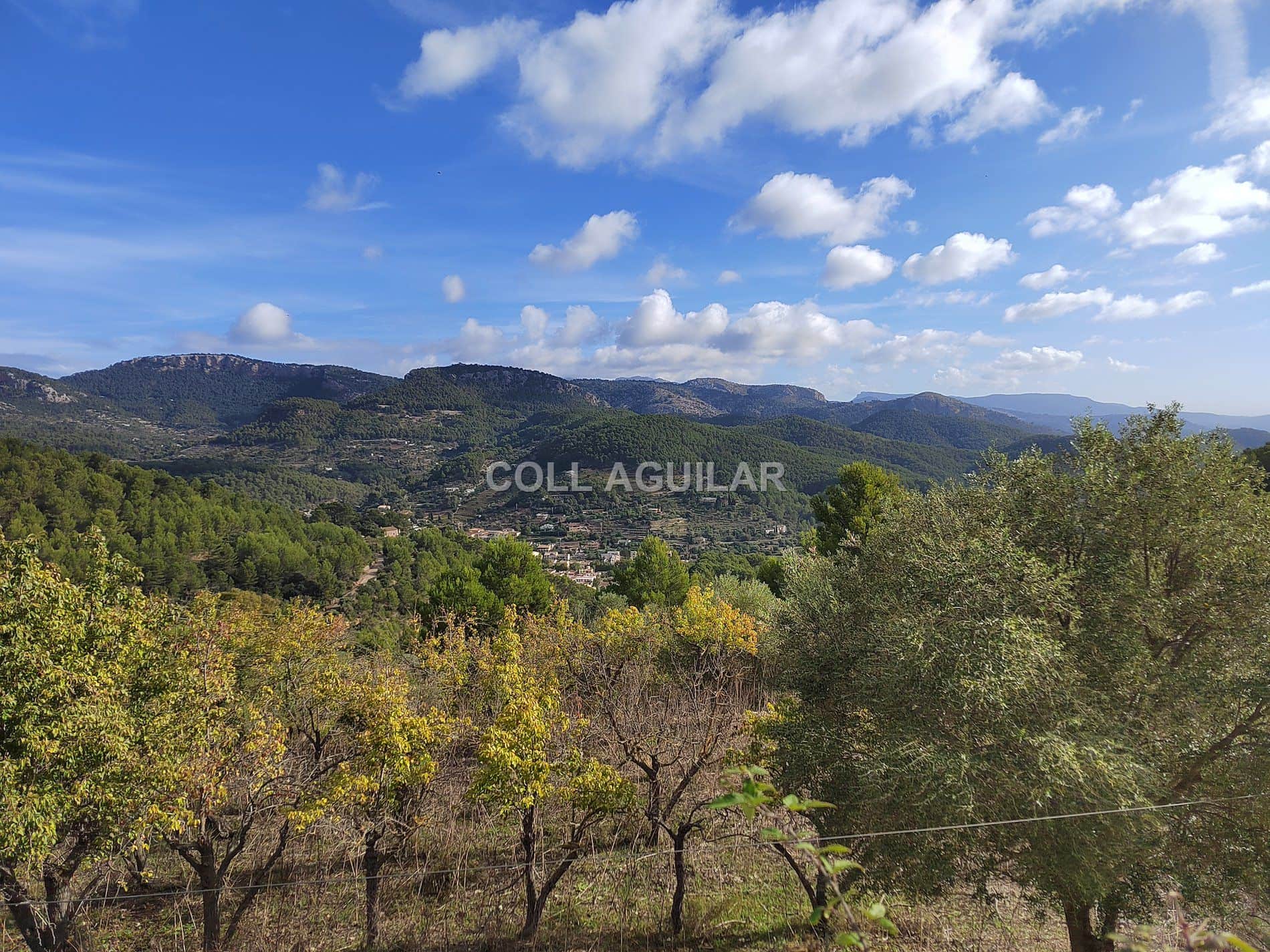 Finca rústica en venta en Esporles - Foto 5