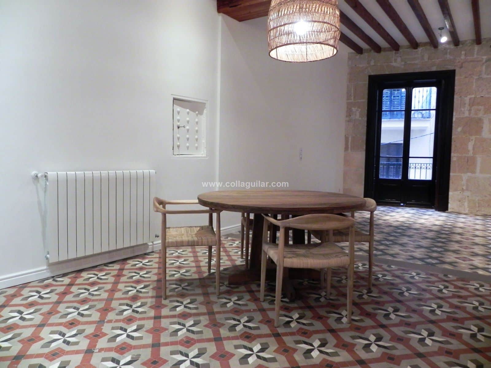 CASCO ANTIGUO, ZONA PASEO DEL BORN - Foto 5