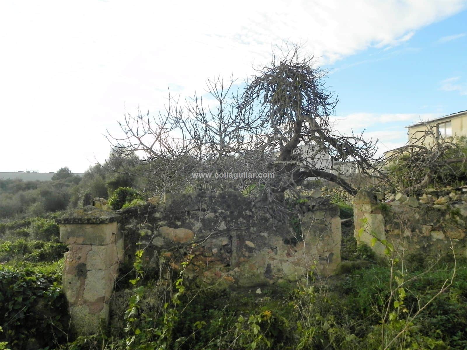 MURO PARCELA PARA EDIFICAR - Foto 3